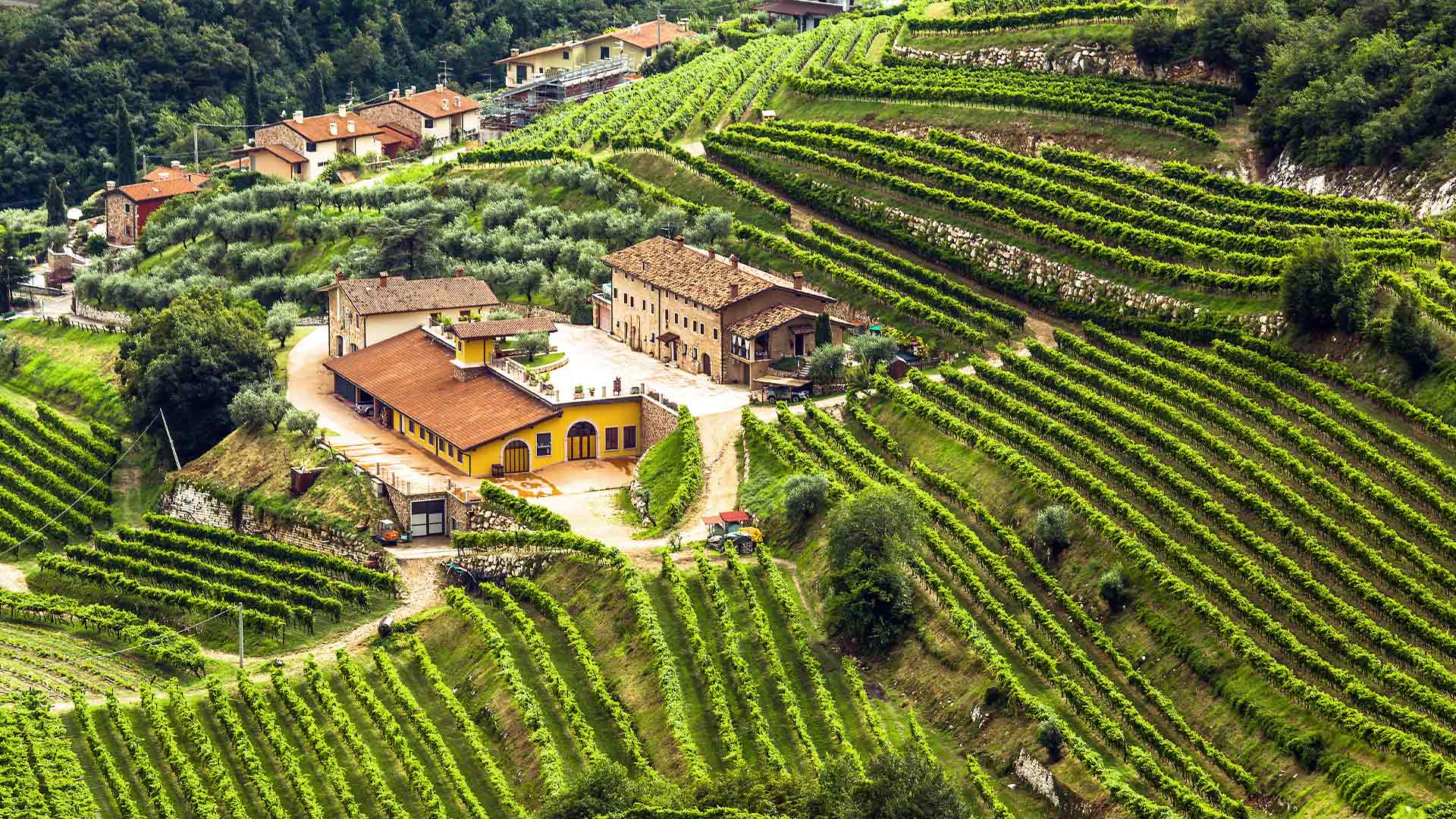 Valpolicella Region in Italy